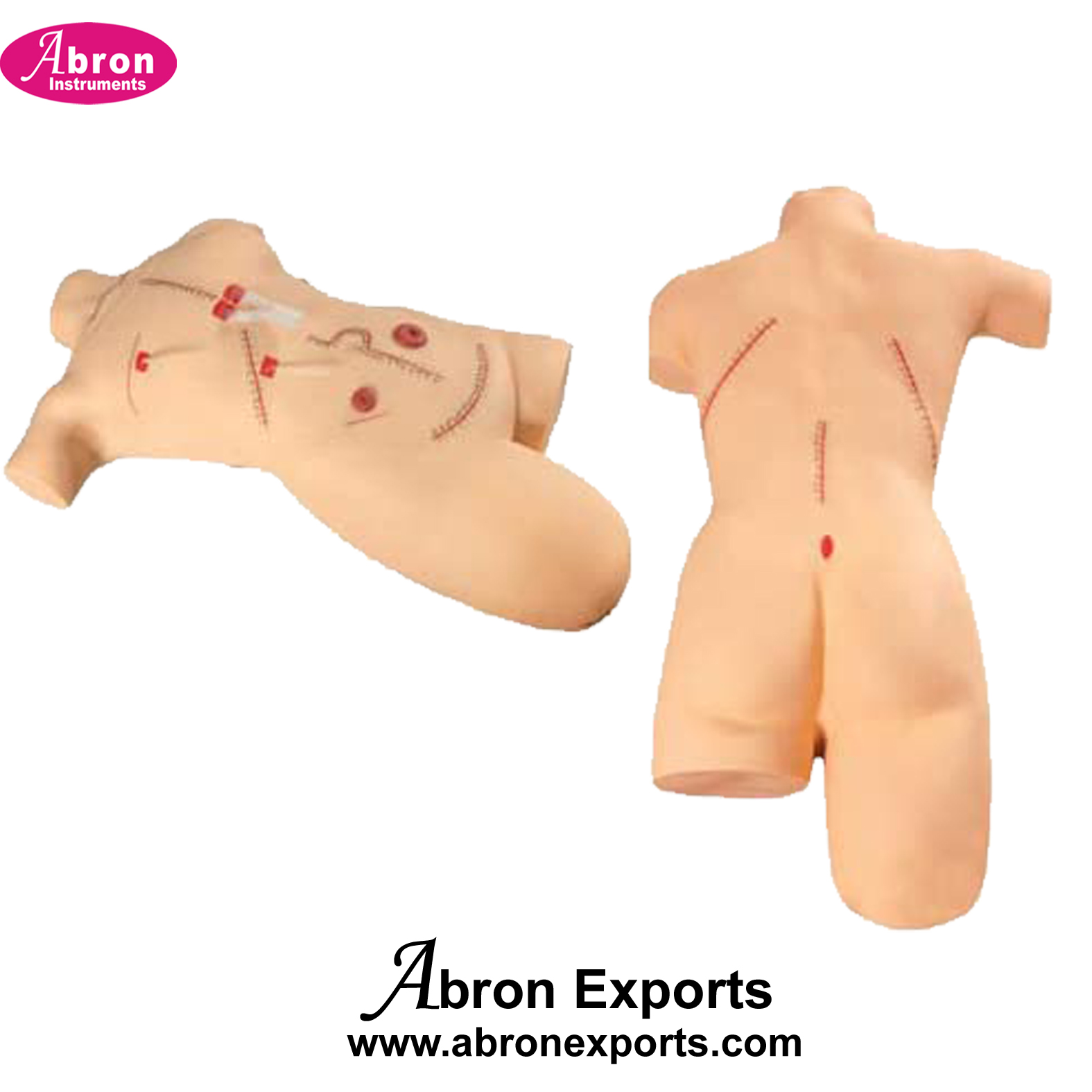 Nursing Training Kit Simulator Polymerised Rubber Life form Surgical Sally Bandaging Simulator Abron ABM-2477BG 